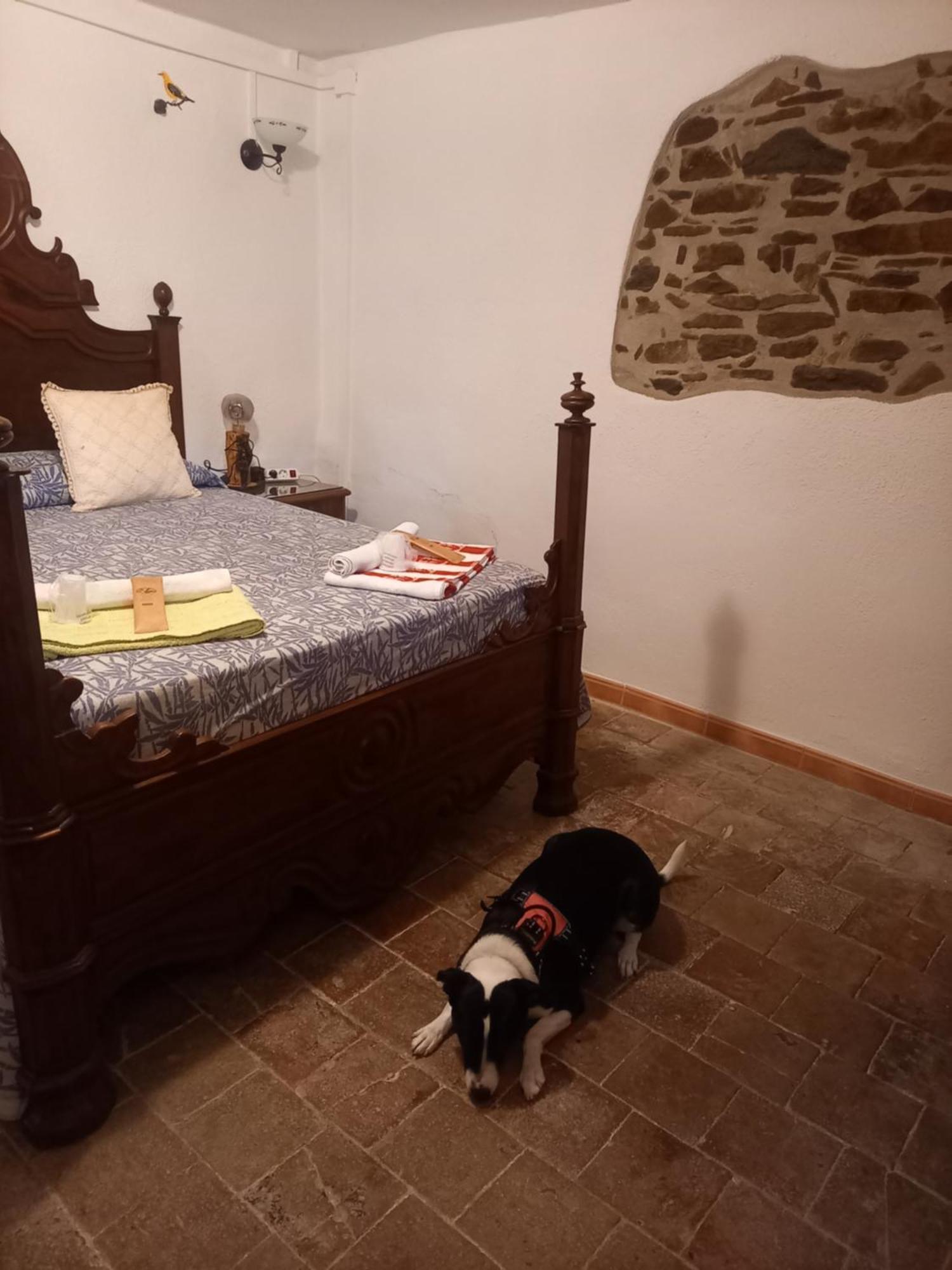 Hostal Rural Mas Blanc San Martín de Centellas Exteriör bild