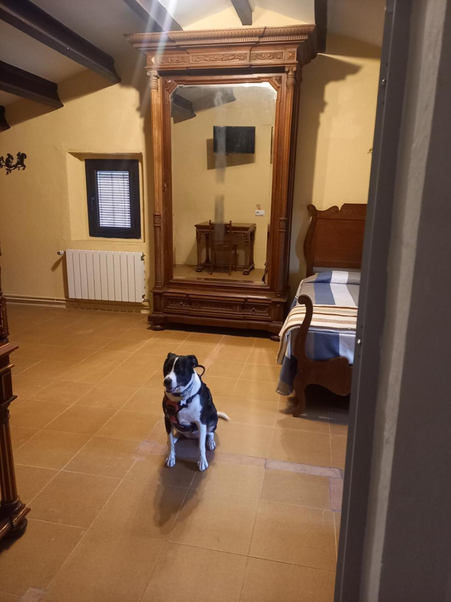 Hostal Rural Mas Blanc San Martín de Centellas Exteriör bild