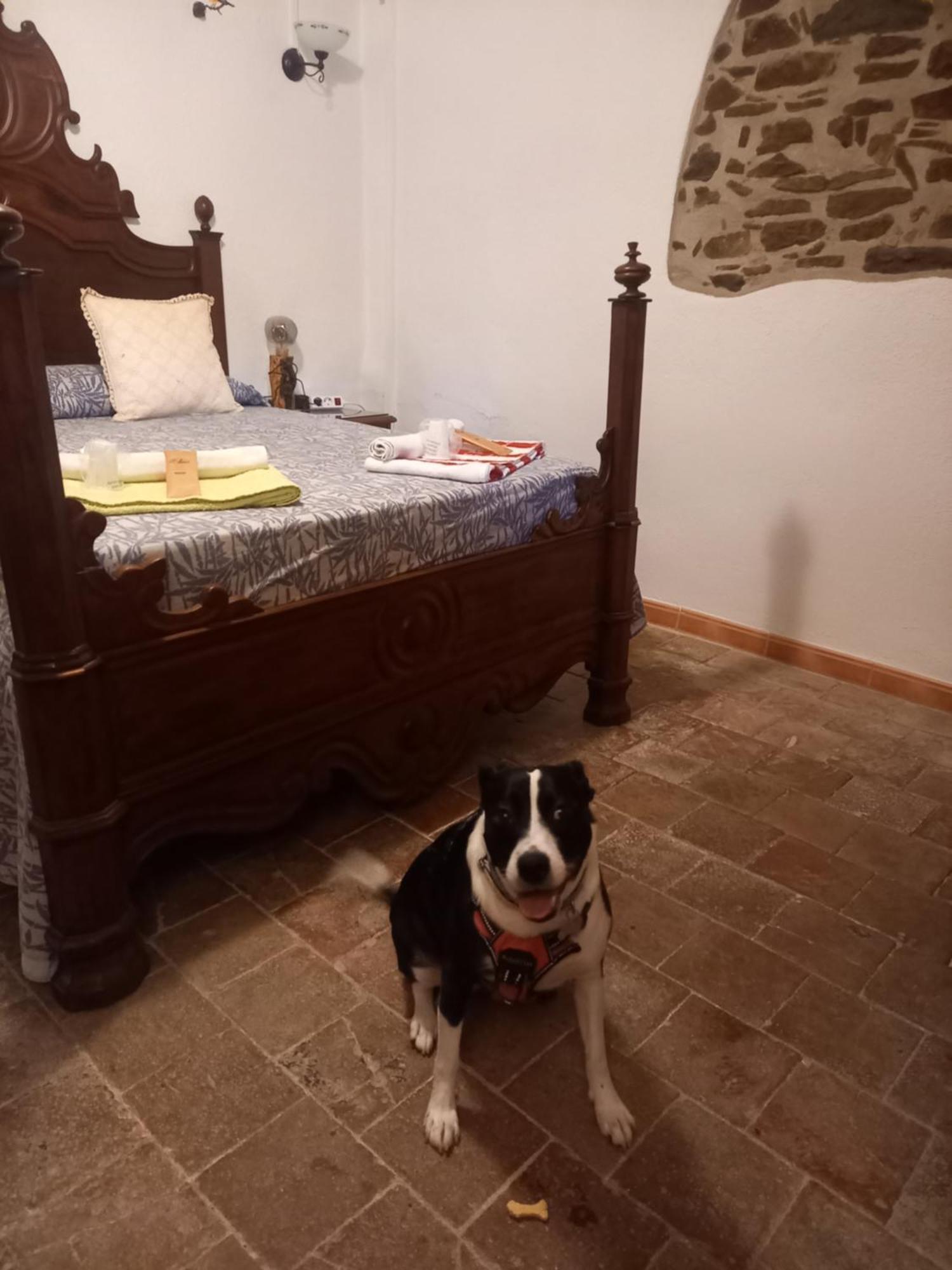Hostal Rural Mas Blanc San Martín de Centellas Exteriör bild