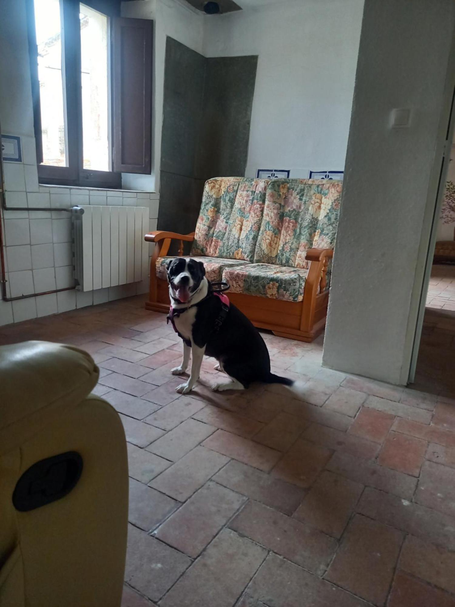 Hostal Rural Mas Blanc San Martín de Centellas Exteriör bild